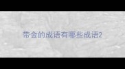 带金的成语有哪些成语