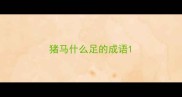 猪马什么足的成语