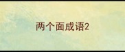 两个面成语
