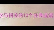 饮马成语全与饮马相关的10个经典成语及实战应用指南
