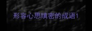 形容心思缜密的成语