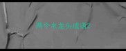 两个水龙头成语