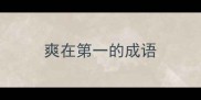爽在第一的成语