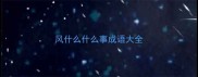 风什么什么事成语大全