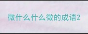 微什么什么微的成语