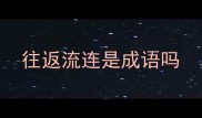往返流连是成语吗