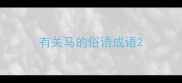 有关马的俗语成语