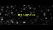 昆虫名称的成语