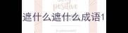 遮什么遮什么成语