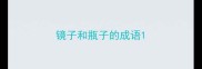镜子和瓶子的成语