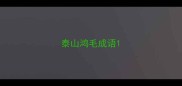 泰山鸿毛成语