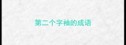 第二个字袖的成语