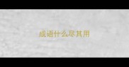成语什么尽其用