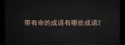带有命的成语有哪些成语