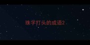 珠字打头的成语