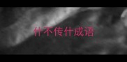 什不传什成语