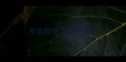 形容颜色漂亮的成语
