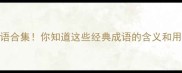 布字成语合集你知道这些经典成语的含义和用法吗
