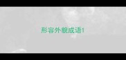 形容外貌成语