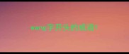 wang字开头的成语