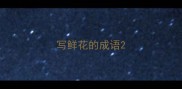 写鲜花的成语