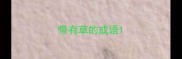 带有草的成语
