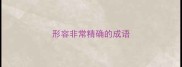 形容非常精确的成语