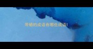 带蜡的成语有哪些成语