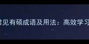 20个常见有硕成语及用法高效学习指南