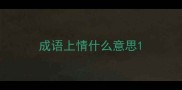 成语上情什么意思