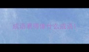 成语累得像什么成语