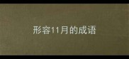 形容11月的成语