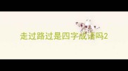 走过路过是四字成语吗