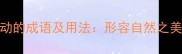 20个随风飘动的成语及用法形容自然之美的经典表达