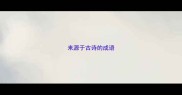 来源于古诗的成语