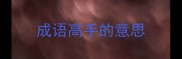 成语高手的意思