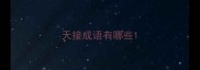 天接成语有哪些