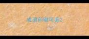 成语前辙可鉴