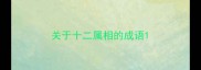 关于十二属相的成语