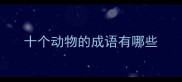 十个动物的成语有哪些
