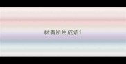 材有所用成语