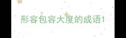 形容包容大度的成语