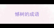 憾树的成语