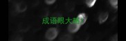 成语眼大略
