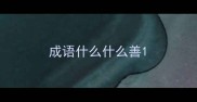 成语什么什么善