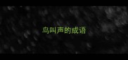 鸟叫声的成语