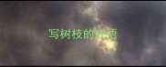 写树枝的成语