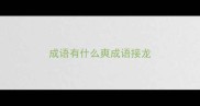 成语有什么爽成语接龙