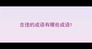 含违的成语有哪些成语