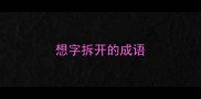 想字拆开的成语